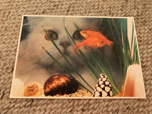 CAT postcard - Collectible card - Printed in Holland - 1987 - unused