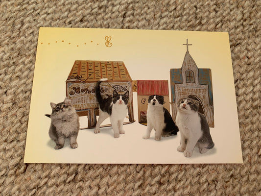 CAT postcard - Collectible card - Printed in Japan - 2009 - unused