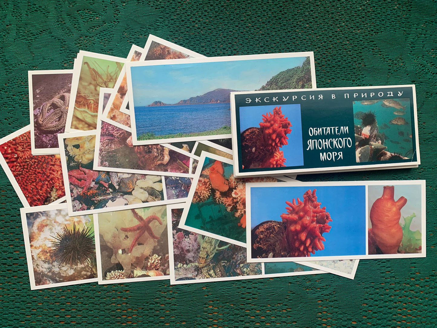 Soviet-time postcard set for collecting - Excursion into nature - Inhabitants of the Sea of Japan - 1977 - unused 21 postcards