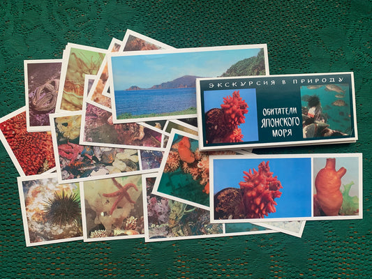 Soviet-time postcard set for collecting - Excursion into nature - Inhabitants of the Sea of Japan - 1977 - unused 21 postcards