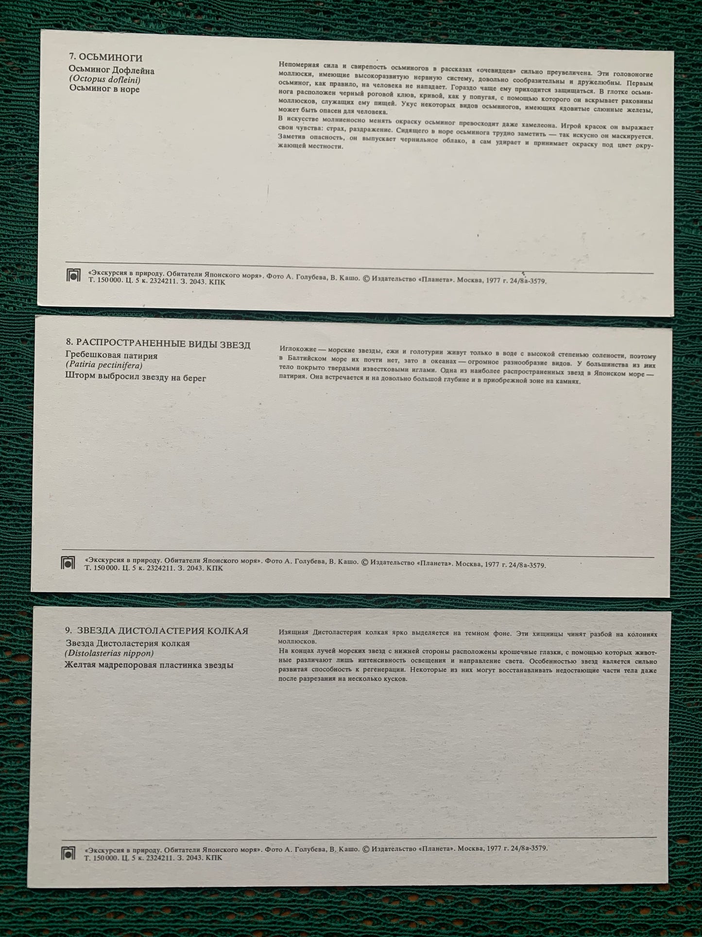 Soviet-time postcard set for collecting - Excursion into nature - Inhabitants of the Sea of Japan - 1977 - unused 21 postcards