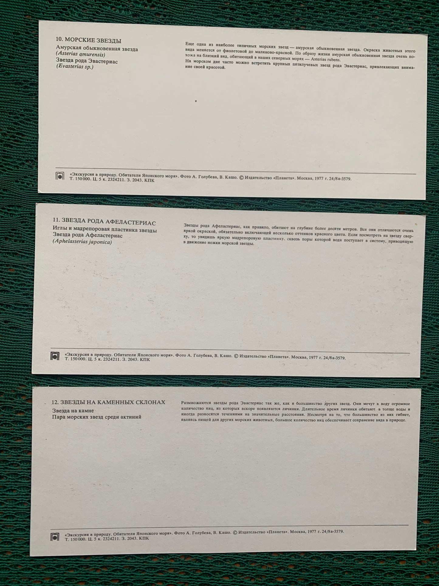 Soviet-time postcard set for collecting - Excursion into nature - Inhabitants of the Sea of Japan - 1977 - unused 21 postcards