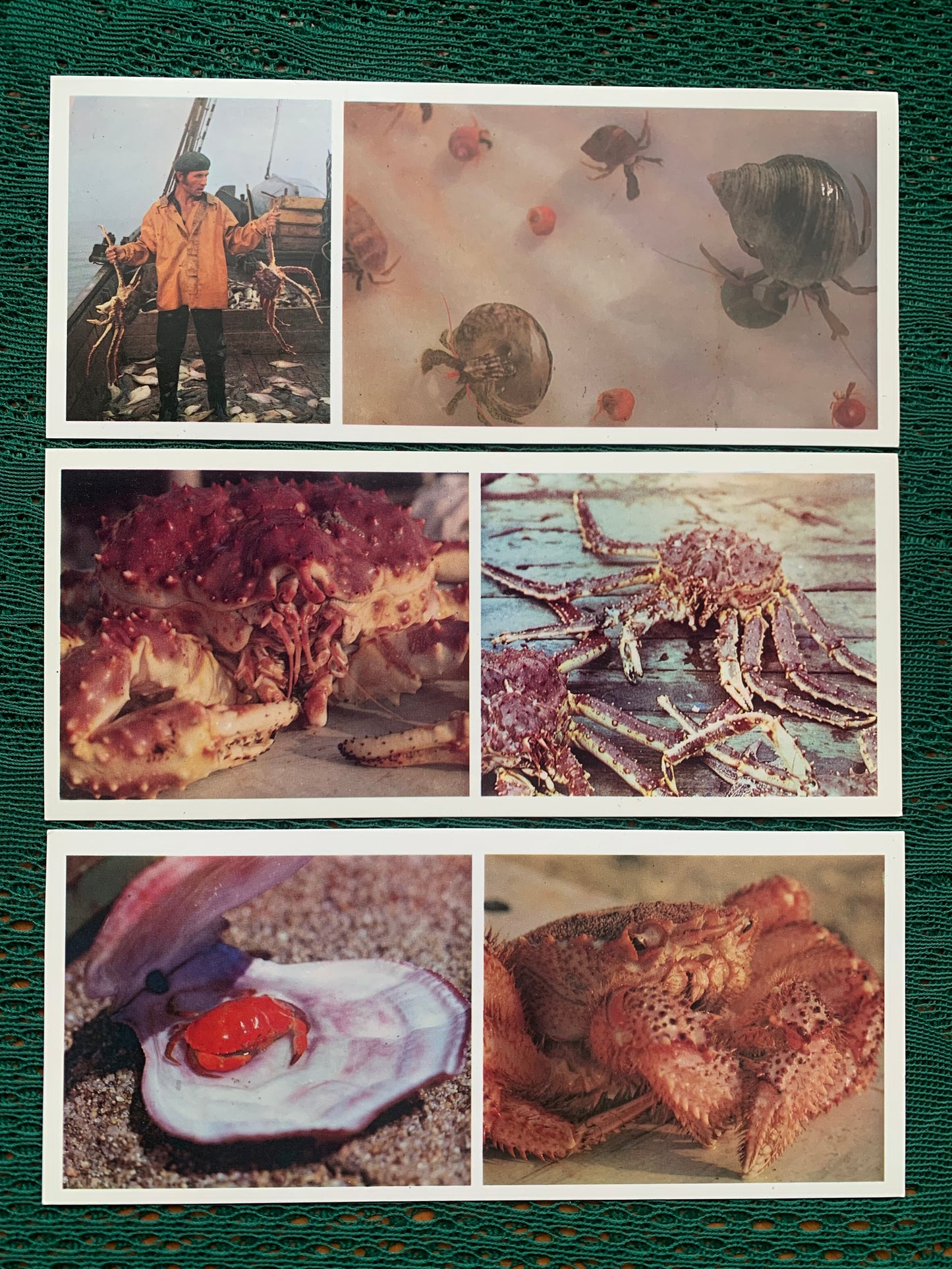 Soviet-time postcard set for collecting - Excursion into nature - Inhabitants of the Sea of Japan - 1977 - unused 21 postcards