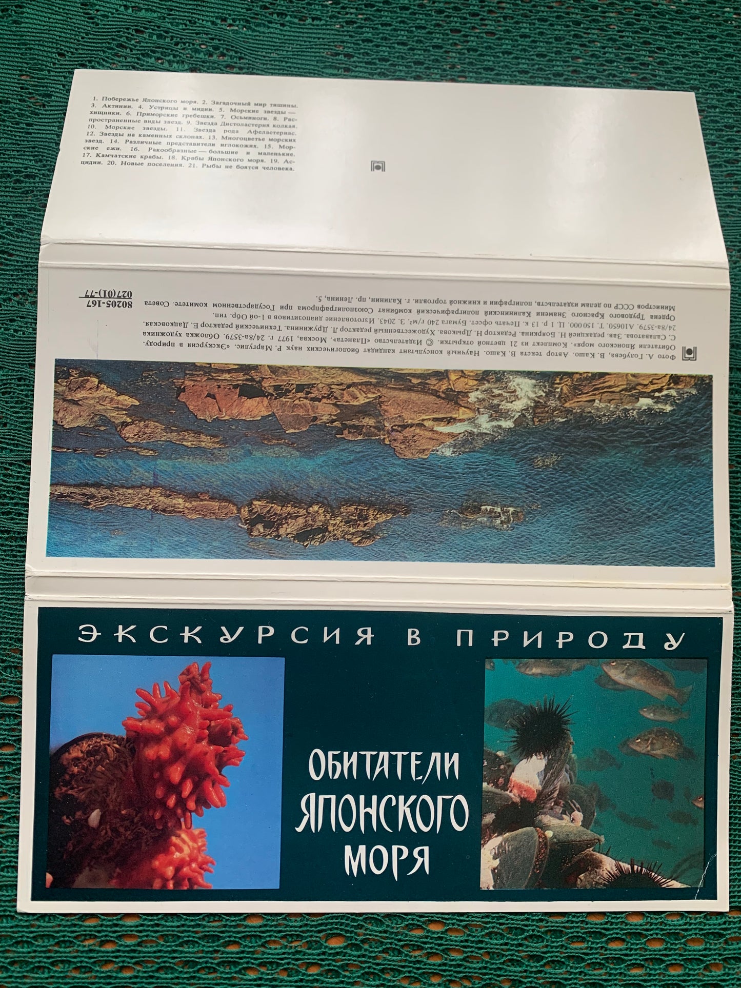 Soviet-time postcard set for collecting - Excursion into nature - Inhabitants of the Sea of Japan - 1977 - unused 21 postcards