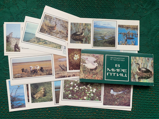 Soviet-time postcard set for collecting - IN THE WORLD OF BIRDS - 1986 - unused 15 postcards
