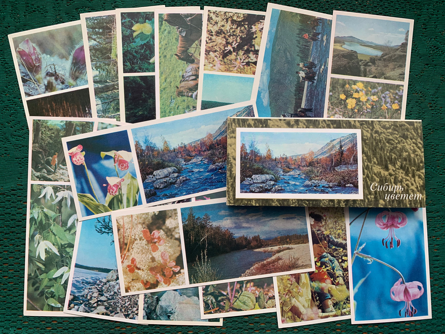 Soviet-time postcard set for collecting - SIBERIA BLOOMS - 1973 - unused 15 postcards
