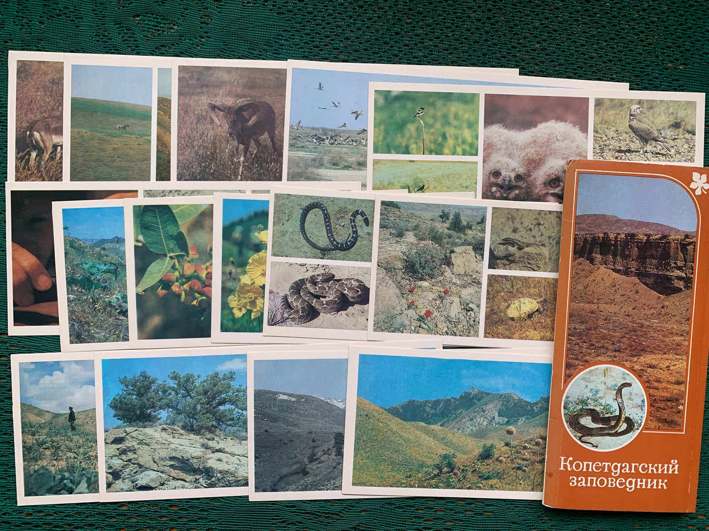Soviet-time postcard set for collecting - Kopetdag nature reserve - Sights of Turkmenistan - 1985 - unused 15 postcards