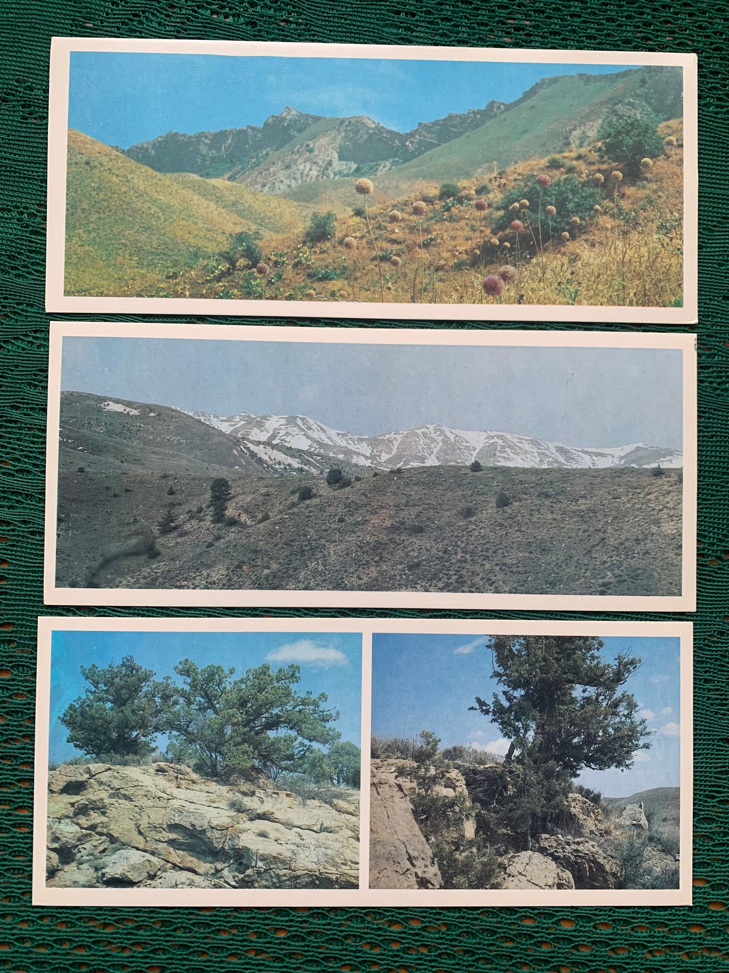 Soviet-time postcard set for collecting - Kopetdag nature reserve - Sights of Turkmenistan - 1985 - unused 15 postcards