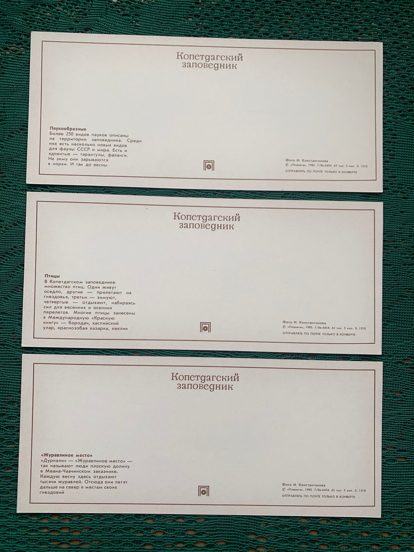 Soviet-time postcard set for collecting - Kopetdag nature reserve - Sights of Turkmenistan - 1985 - unused 15 postcards