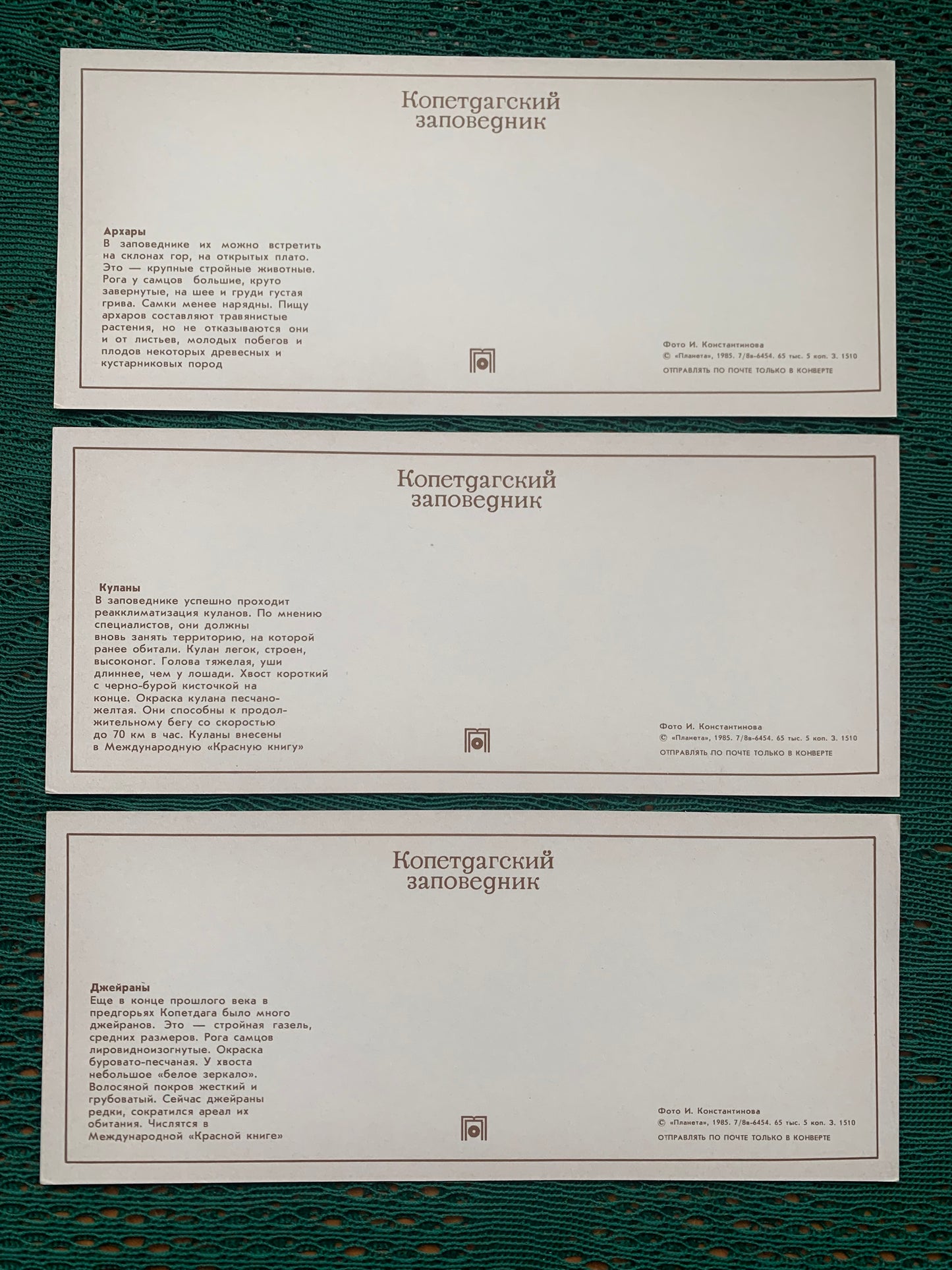 Soviet-time postcard set for collecting - Kopetdag nature reserve - Sights of Turkmenistan - 1985 - unused 15 postcards