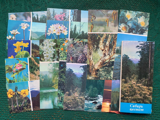 Soviet-time postcard set for collecting - SIBERIA BLOOMS - 1973 - unused 15 postcards