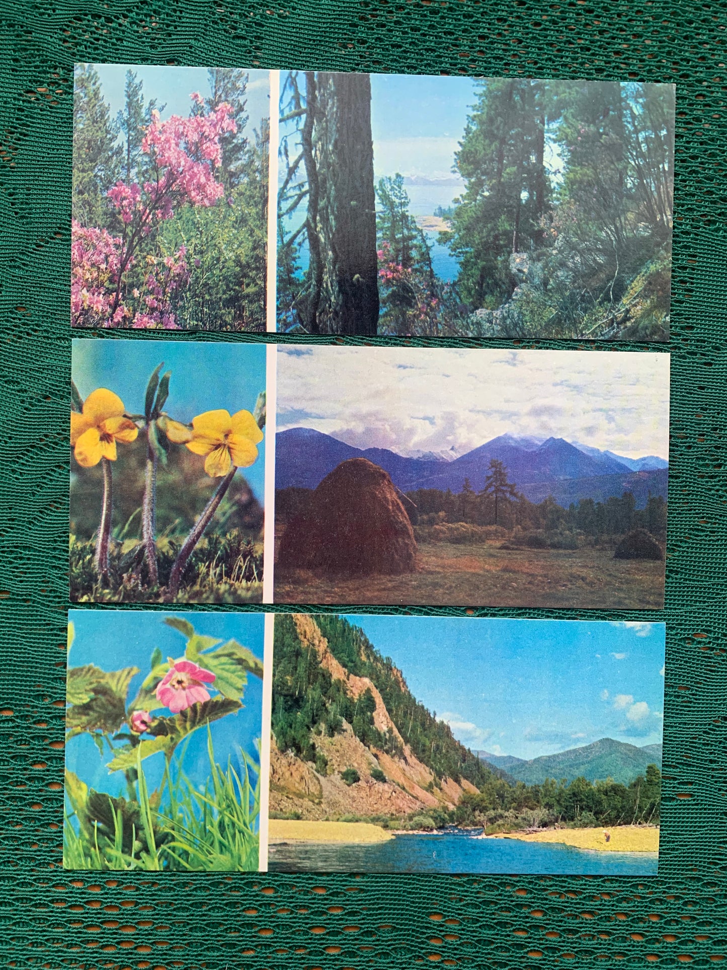 Soviet-time postcard set for collecting - SIBERIA BLOOMS - 1973 - unused 15 postcards