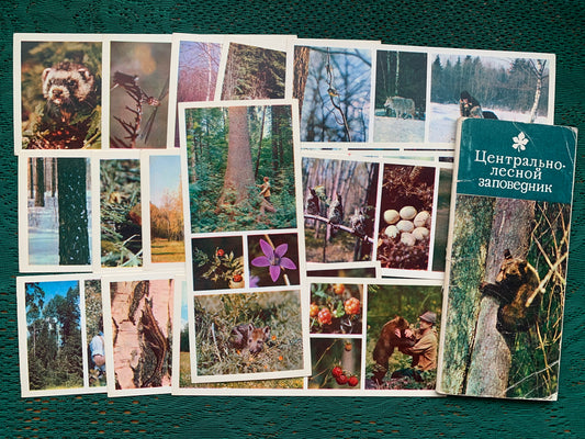 Soviet-time postcard set for collecting - Central Forest Nature Reserve in Russia - 1979 - unused 15 postcards
