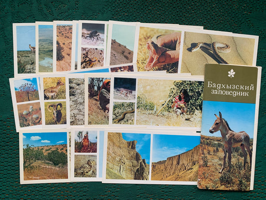 Soviet-time postcard set for collecting - Badhyz State Nature Reserve in Turkmenistan - 1981 - unused 15 postcards