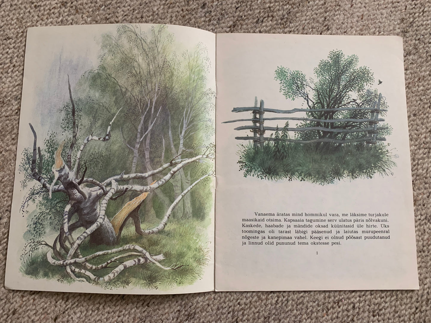 Vintage Children's Book in Estonian - PUNARINNA LAUL - Lovely illustrations - Printed in USSR - 1986
