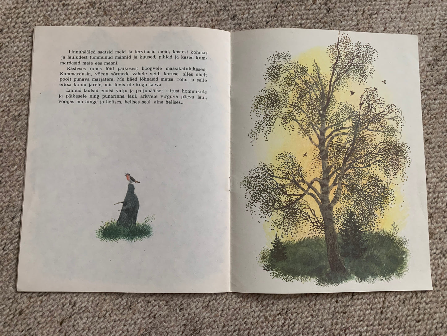 Vintage Children's Book in Estonian - PUNARINNA LAUL - Lovely illustrations - Printed in USSR - 1986