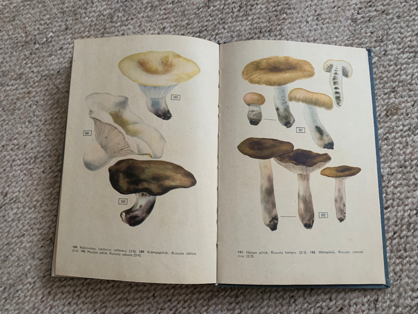 Vintage Reference Book in Estonian - SEENED - MUSHROOMS - Printed in USSR - 1966