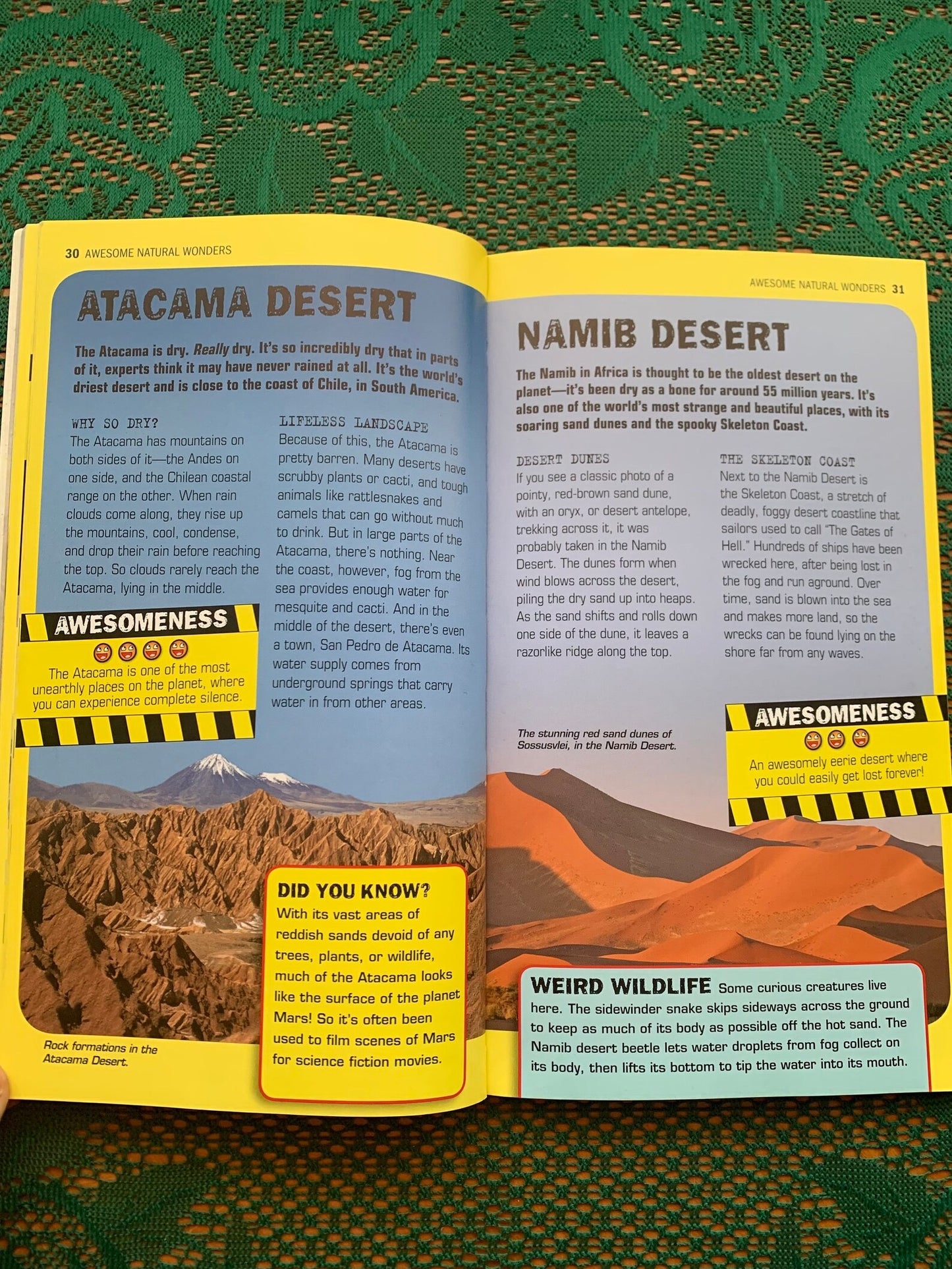 Reference book "100 Most Awesome Things on the Planet" - Anna Claybourne - Scholastic - see photos!