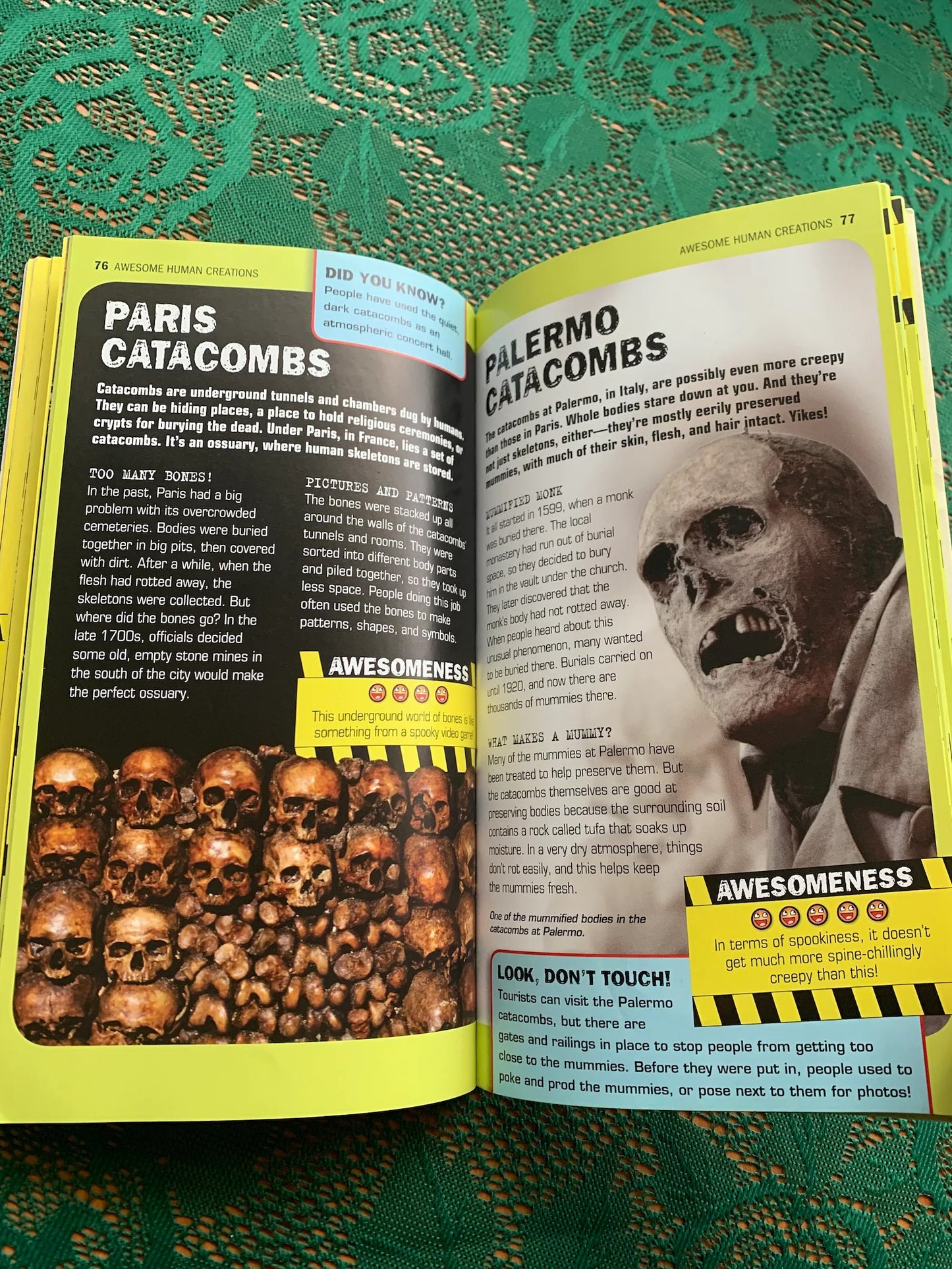 Reference book "100 Most Awesome Things on the Planet" - Anna Claybourne - Scholastic - see photos!