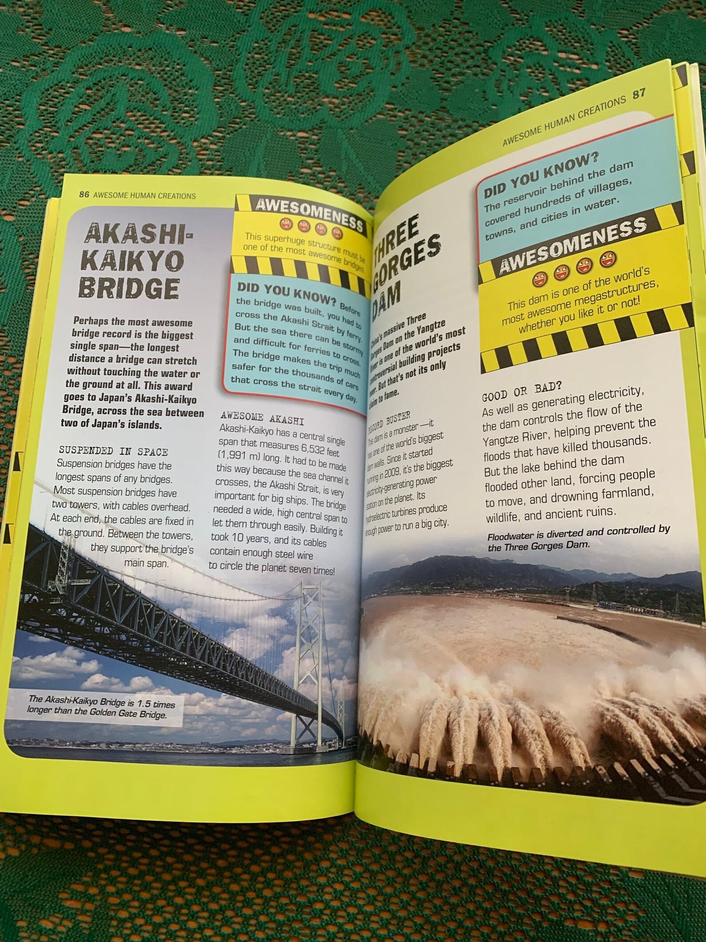Reference book "100 Most Awesome Things on the Planet" - Anna Claybourne - Scholastic - see photos!