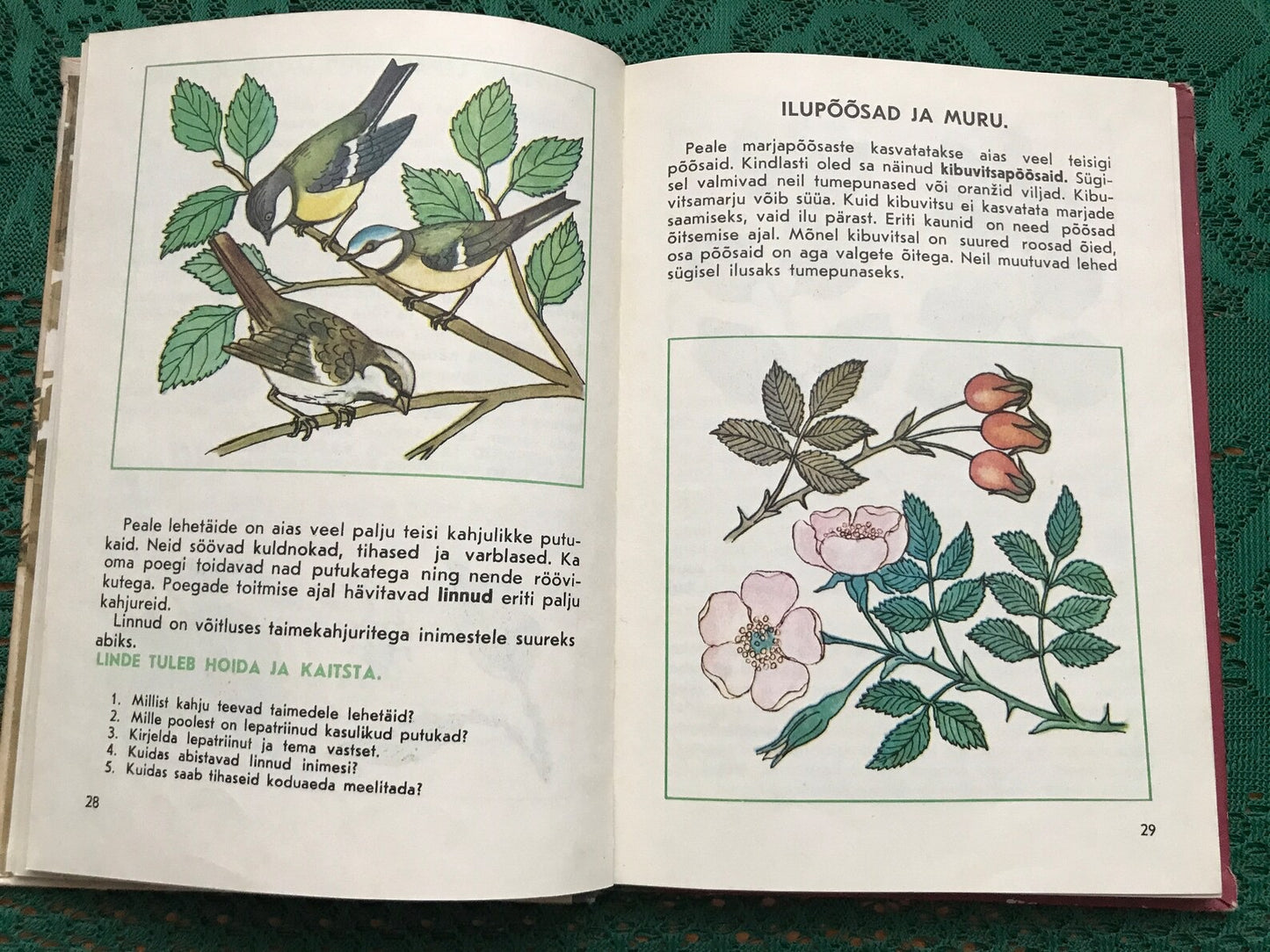 Vintage Estonian Biology School Book - old Soviet Natural Science School book - Printed in USSR - 1981