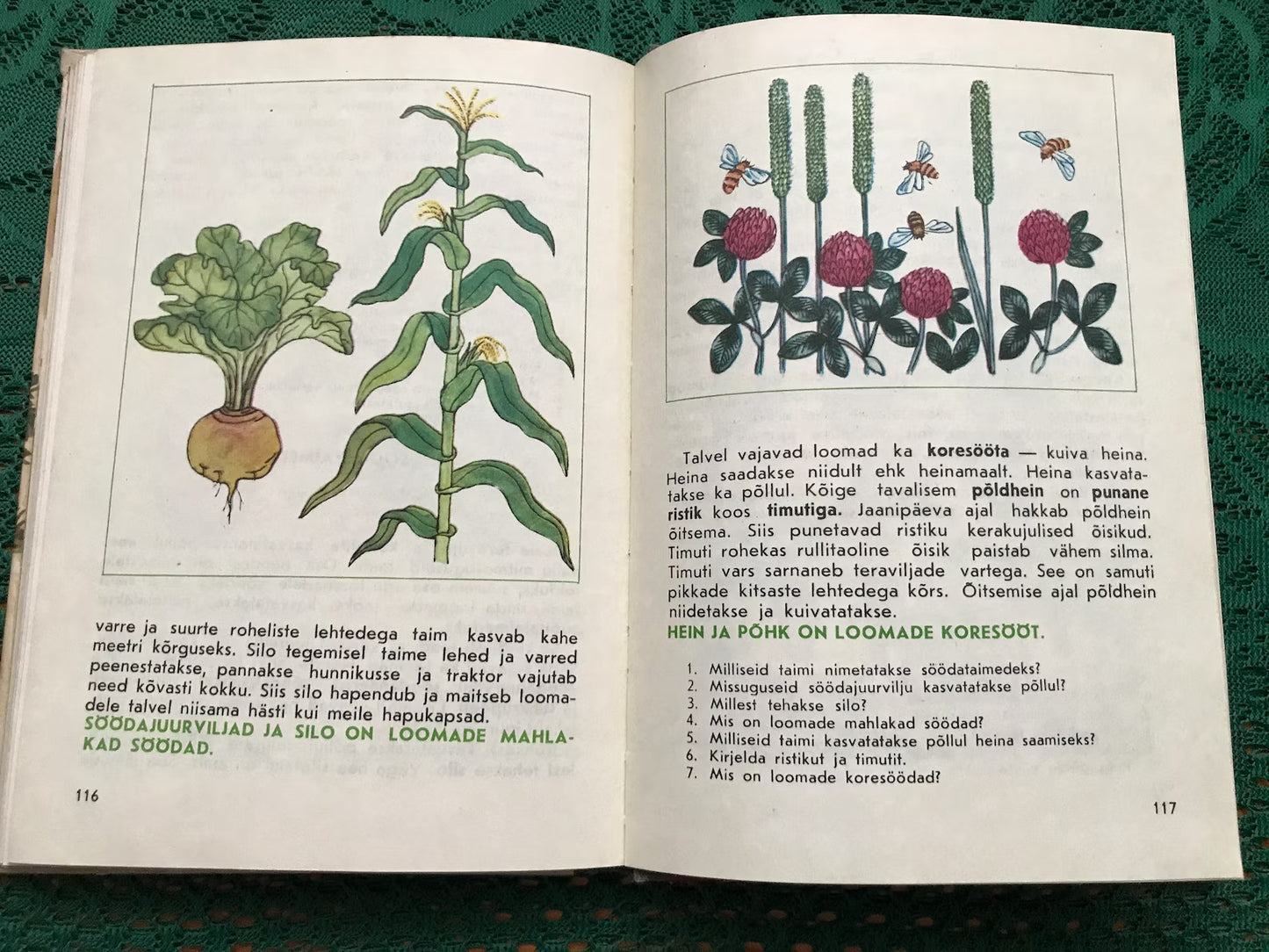 Vintage Estonian Biology School Book - old Soviet Natural Science School book - Printed in USSR - 1981