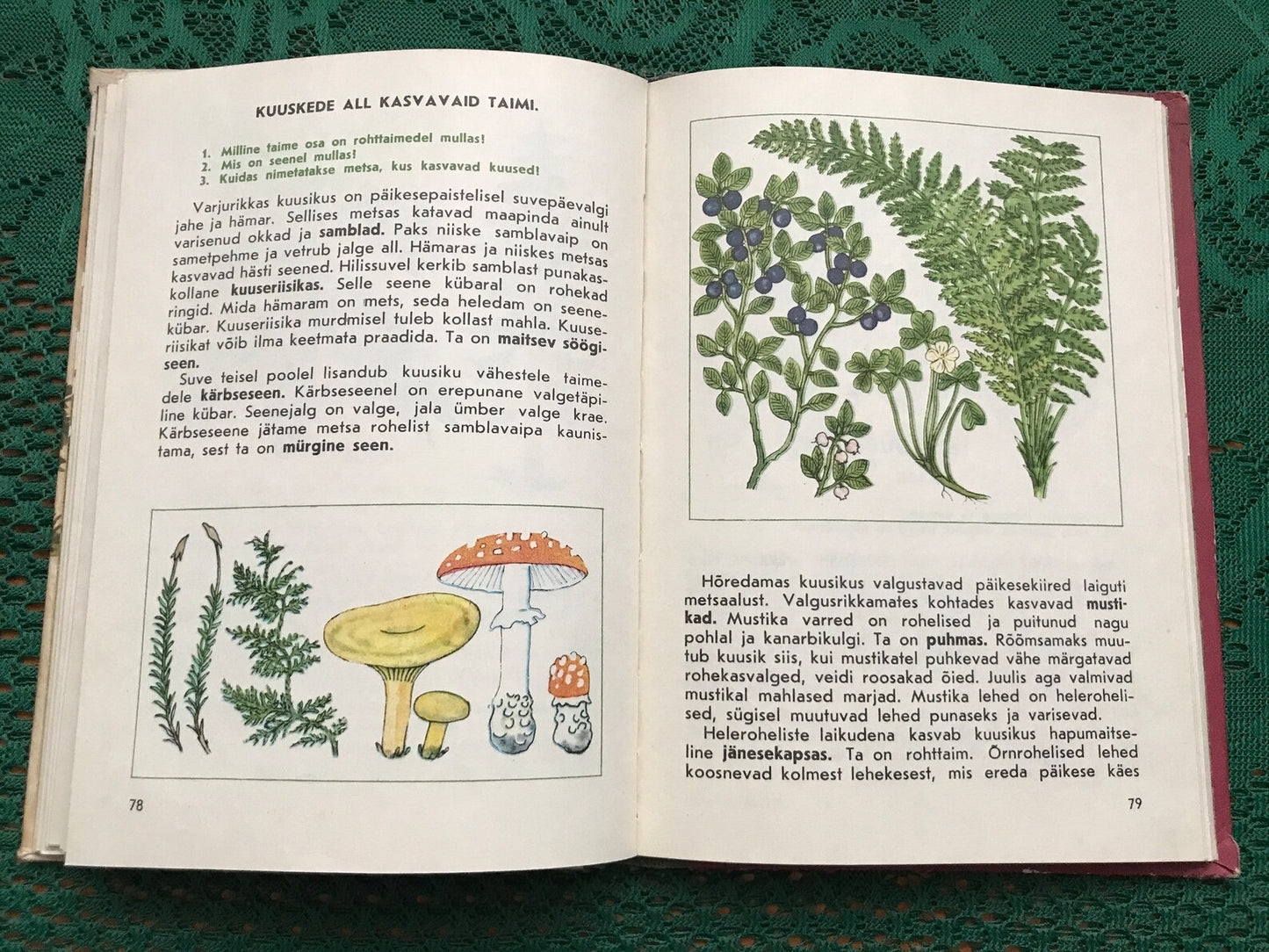 Vintage Estonian Biology School Book - old Soviet Natural Science School book - Printed in USSR - 1981