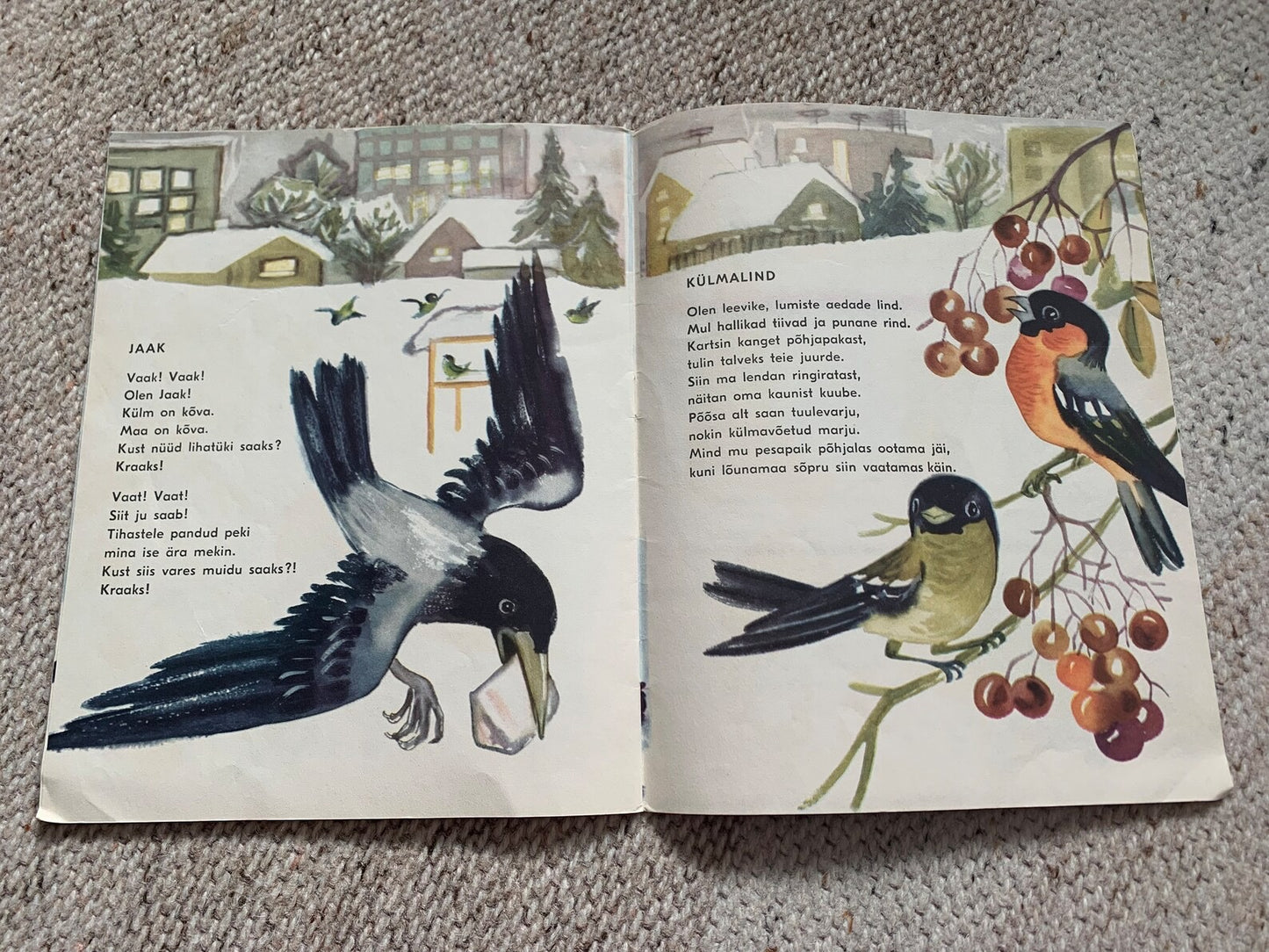Vintage Children's Book in Estonian - VALGETE LIBLKATE AEG - Lovely illustrations - Printed in USSR - 1968