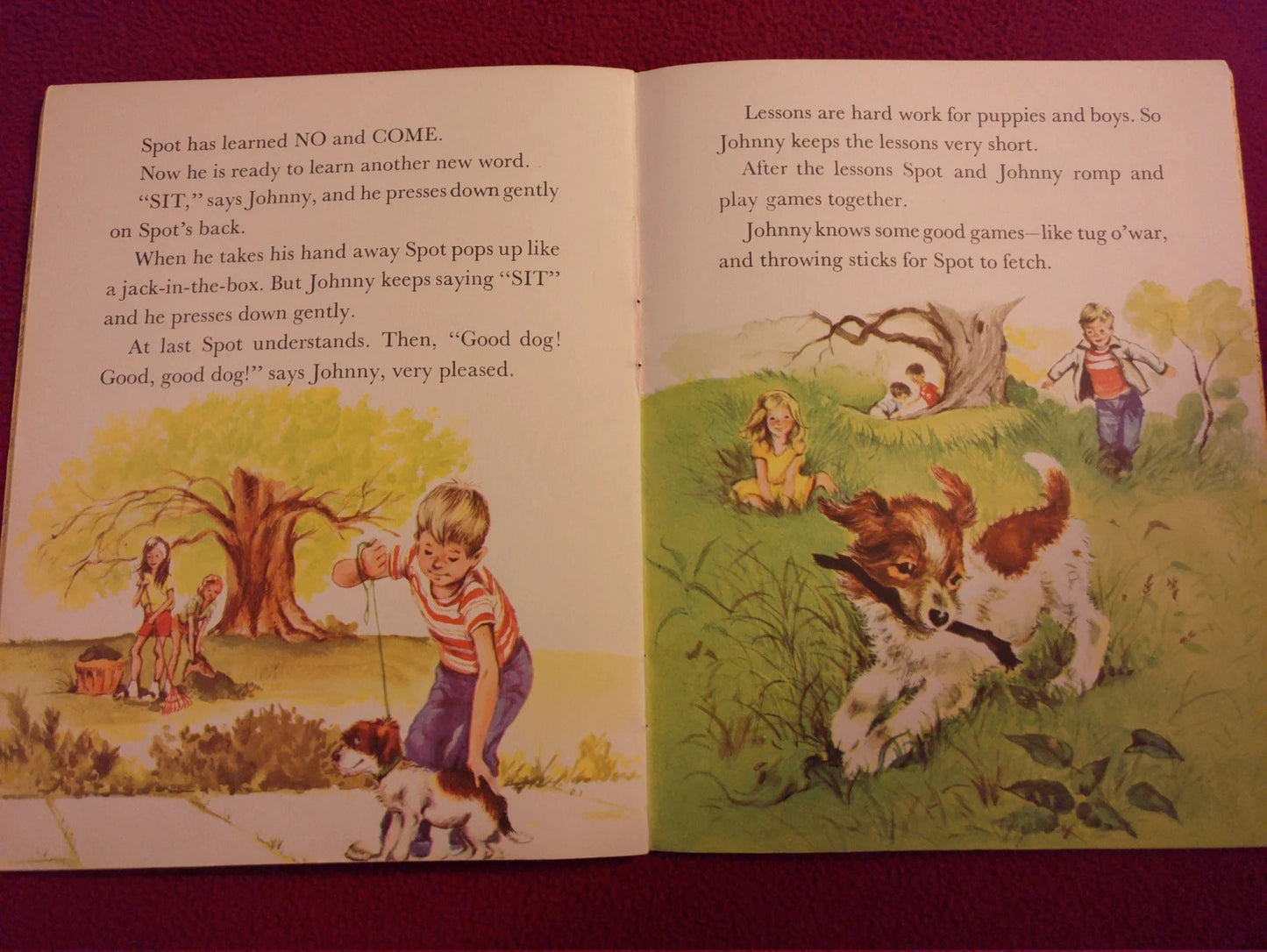 Vintage Children's Book in English - THE NEW PUPPY - Happy time series - Golden Pleasure Books - 1962