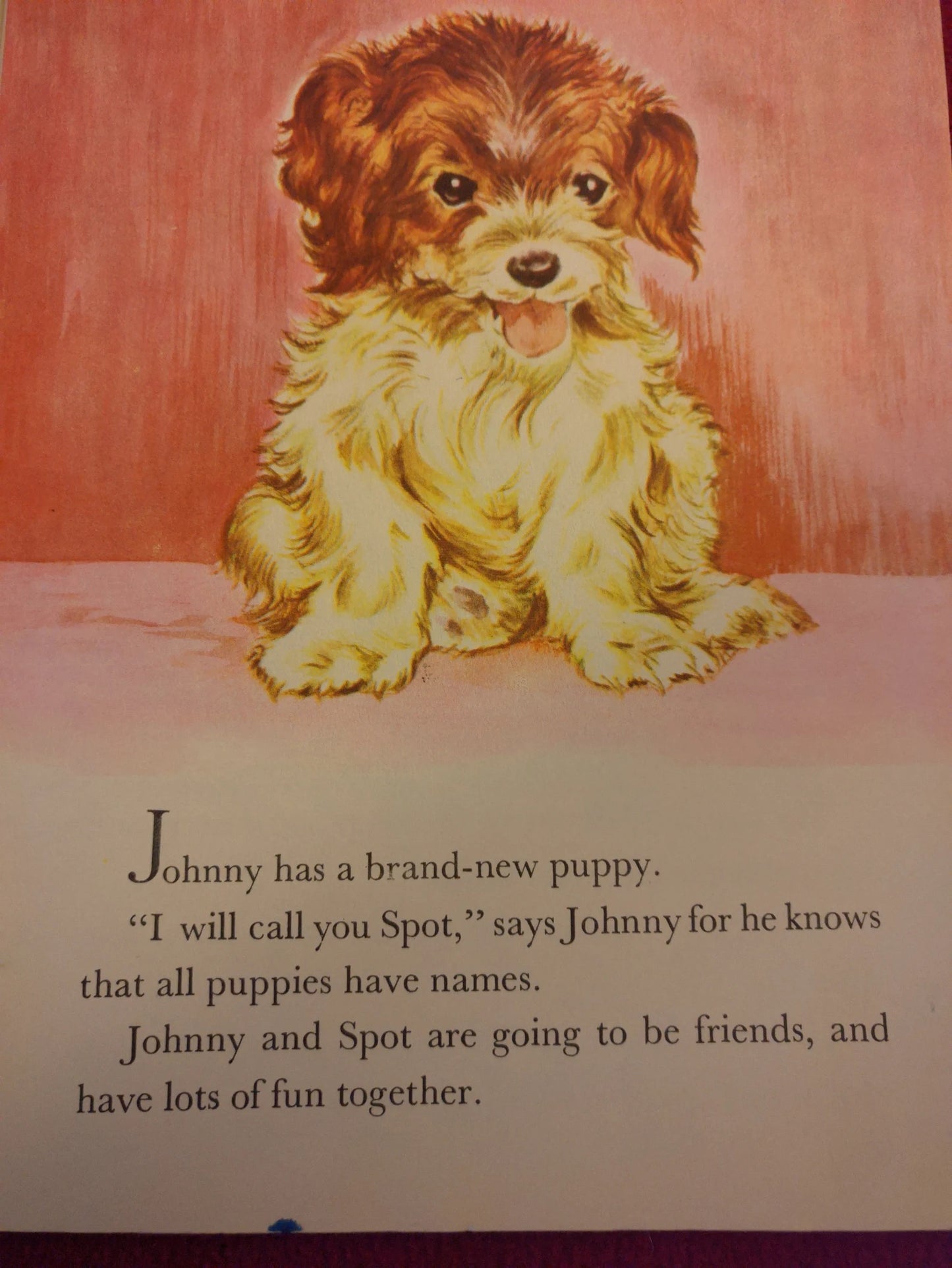 Vintage Children's Book in English - THE NEW PUPPY - Happy time series - Golden Pleasure Books - 1962