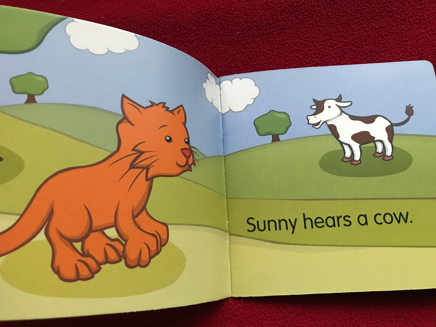 Set of 4 Vintage Helen Doron CAT SUNNY Children's Books for small Kids. Picture Books, Primer Books, Educational Books