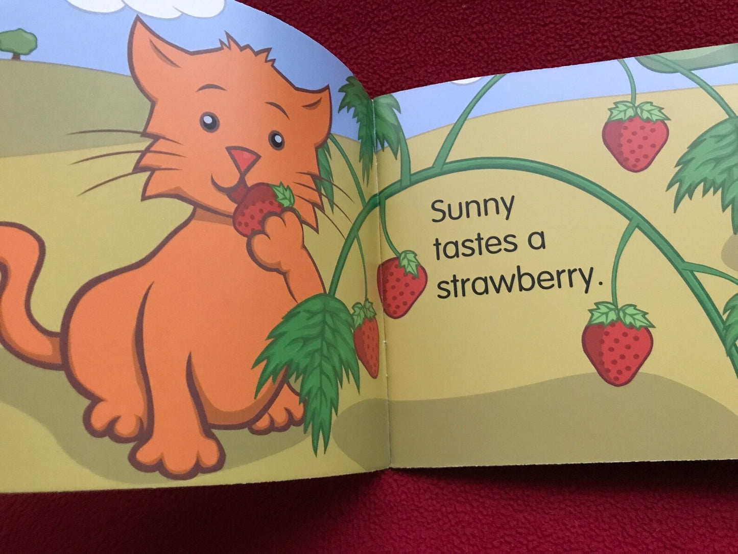 Set of 4 Vintage Helen Doron CAT SUNNY Children's Books for small Kids. Picture Books, Primer Books, Educational Books