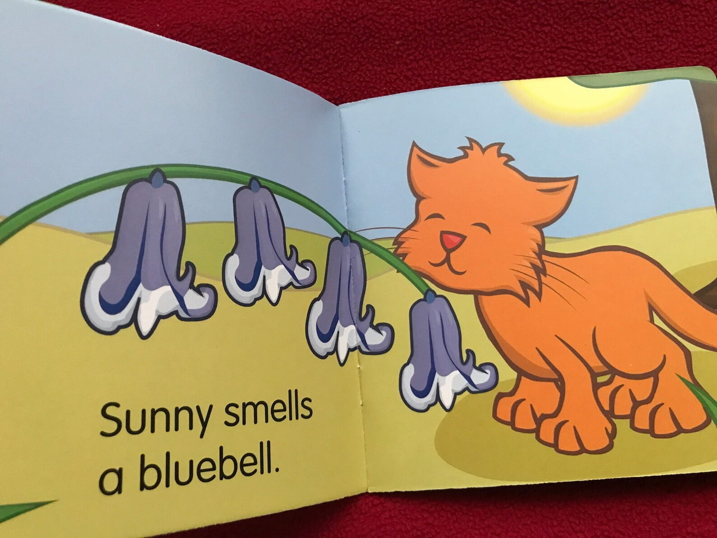 Set of 4 Vintage Helen Doron CAT SUNNY Children's Books for small Kids. Picture Books, Primer Books, Educational Books