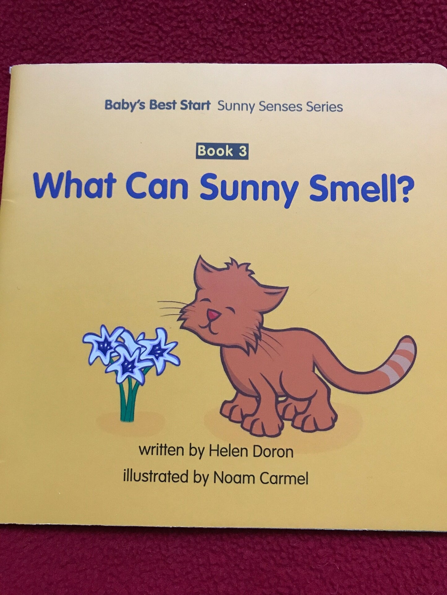 Set of 4 Vintage Helen Doron CAT SUNNY Children's Books for small Kids. Picture Books, Primer Books, Educational Books