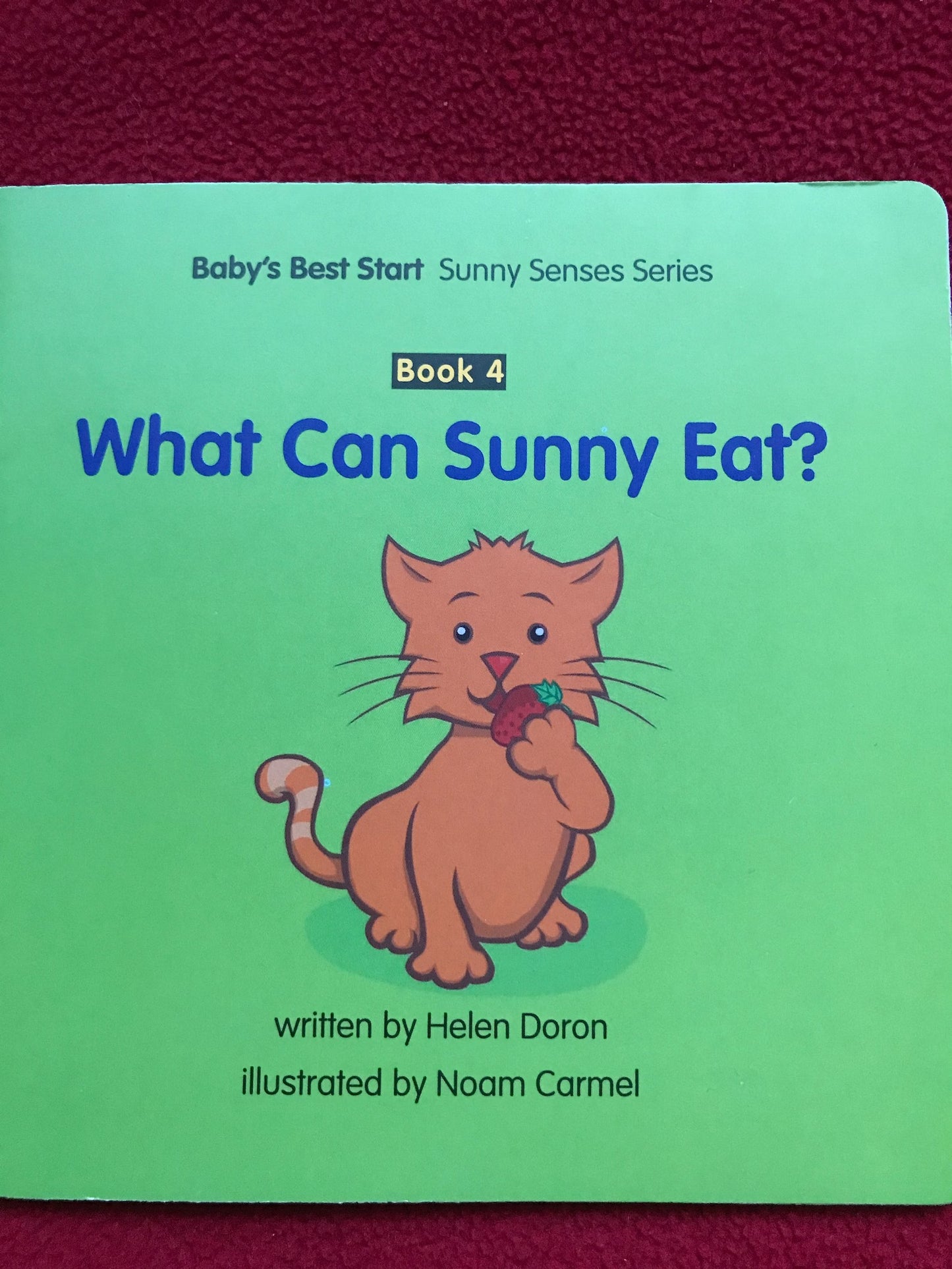 Set of 4 Vintage Helen Doron CAT SUNNY Children's Books for small Kids. Picture Books, Primer Books, Educational Books