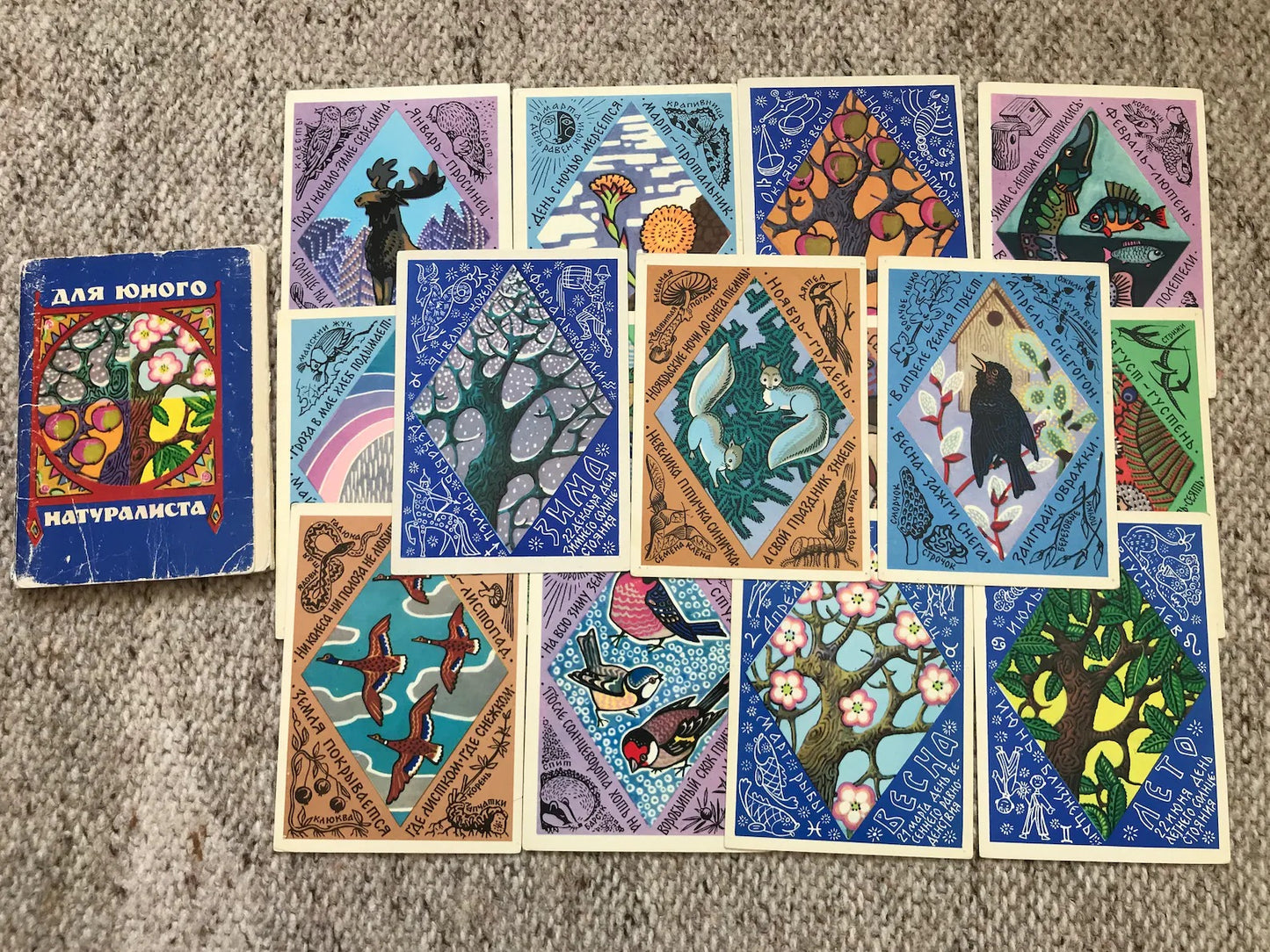 Set of 15 Vintage USSR collectible cards - Biology Cards - "For the Young Naturalist" - 1980s - unused