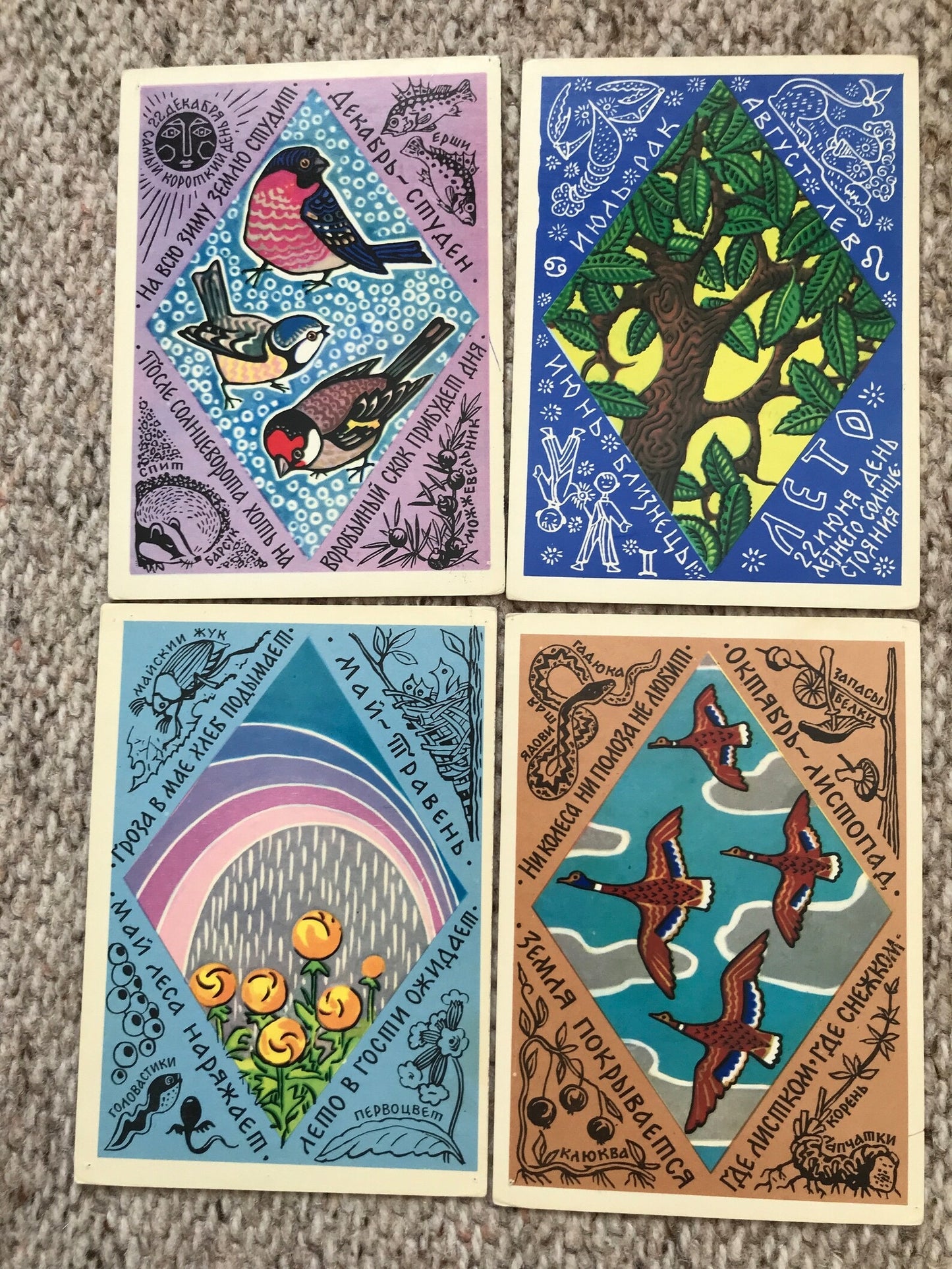 Set of 15 Vintage USSR collectible cards - Biology Cards - "For the Young Naturalist" - 1980s - unused