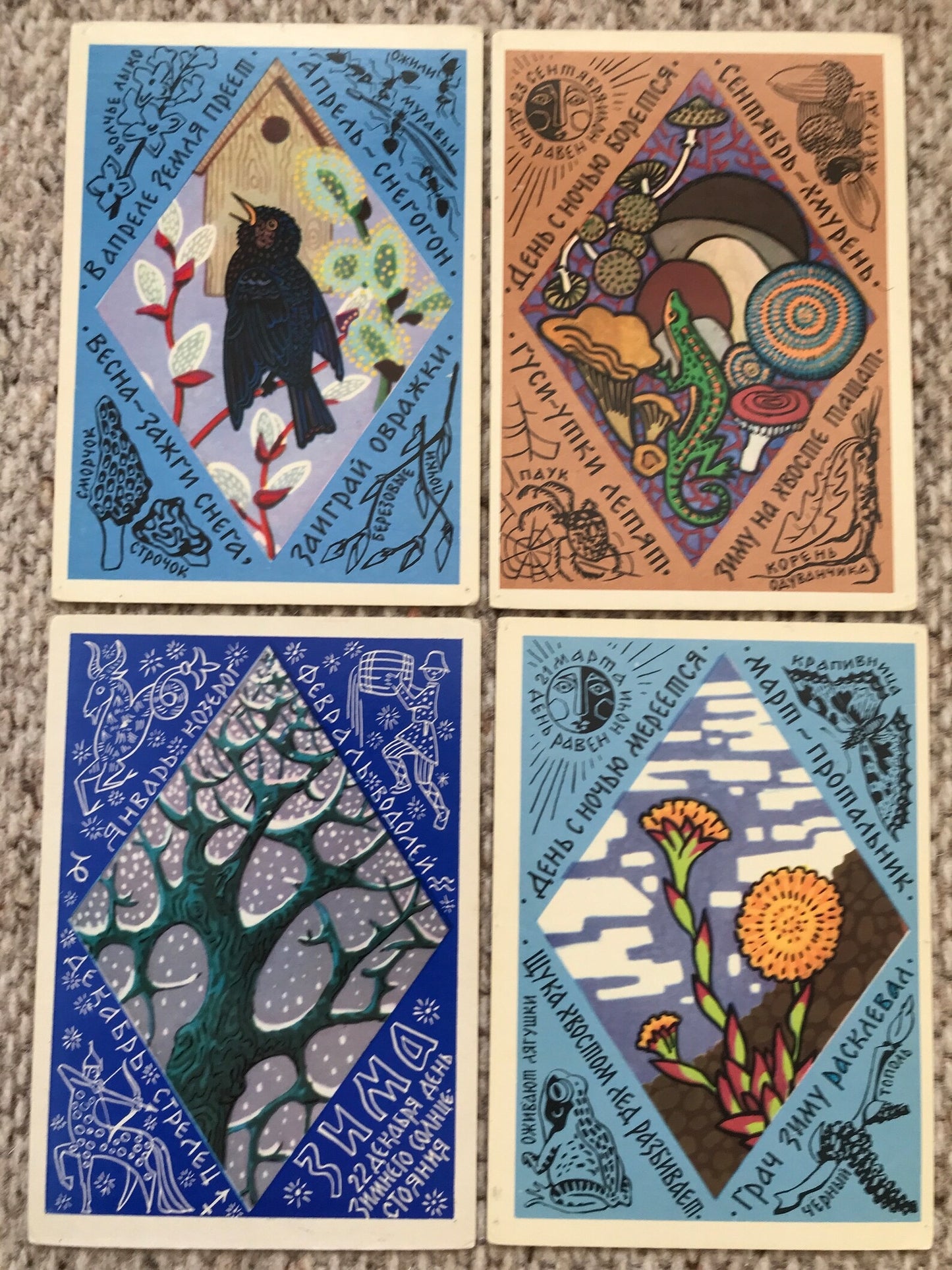 Set of 15 Vintage USSR collectible cards - Biology Cards - "For the Young Naturalist" - 1980s - unused