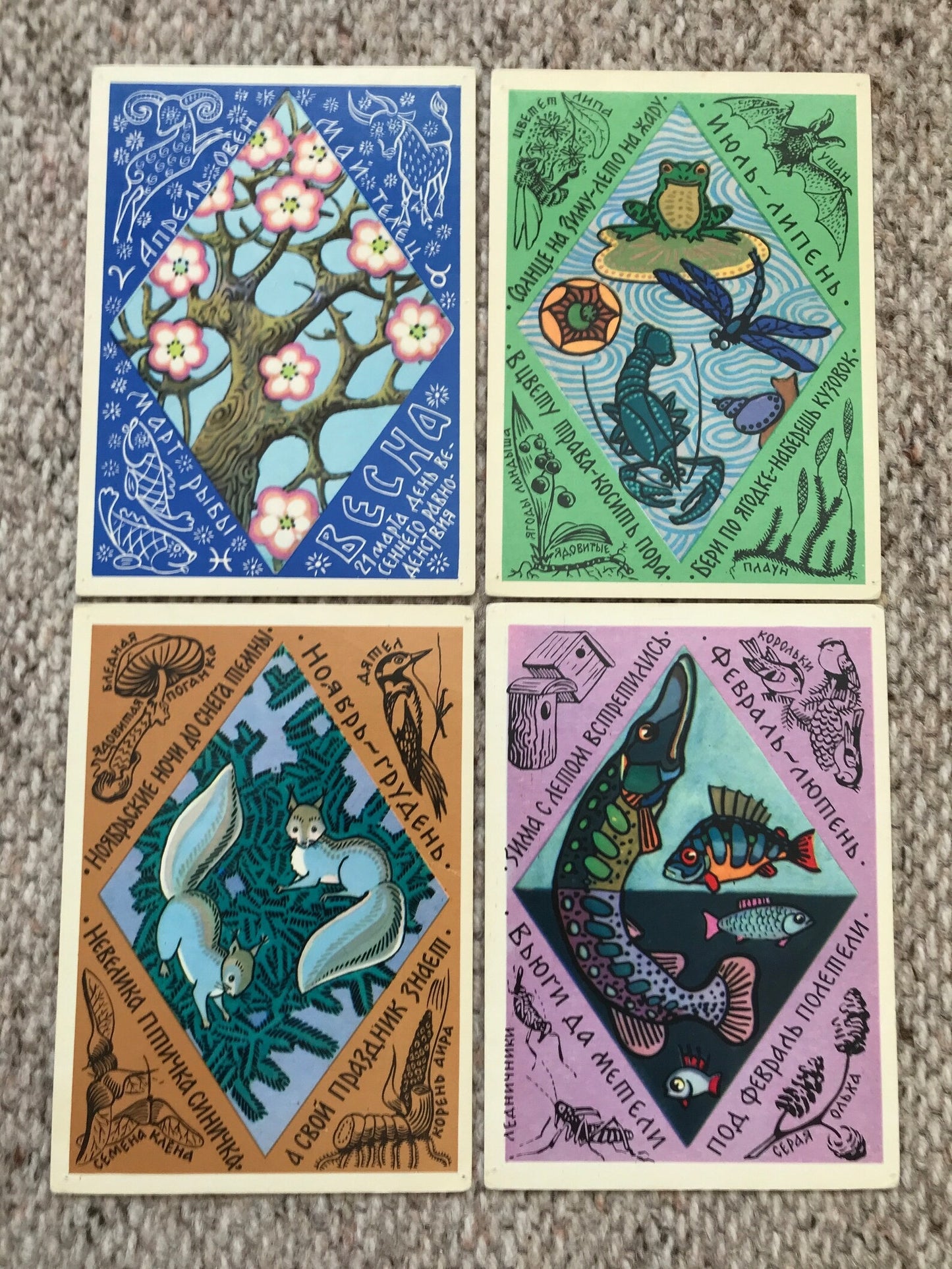 Set of 15 Vintage USSR collectible cards - Biology Cards - "For the Young Naturalist" - 1980s - unused