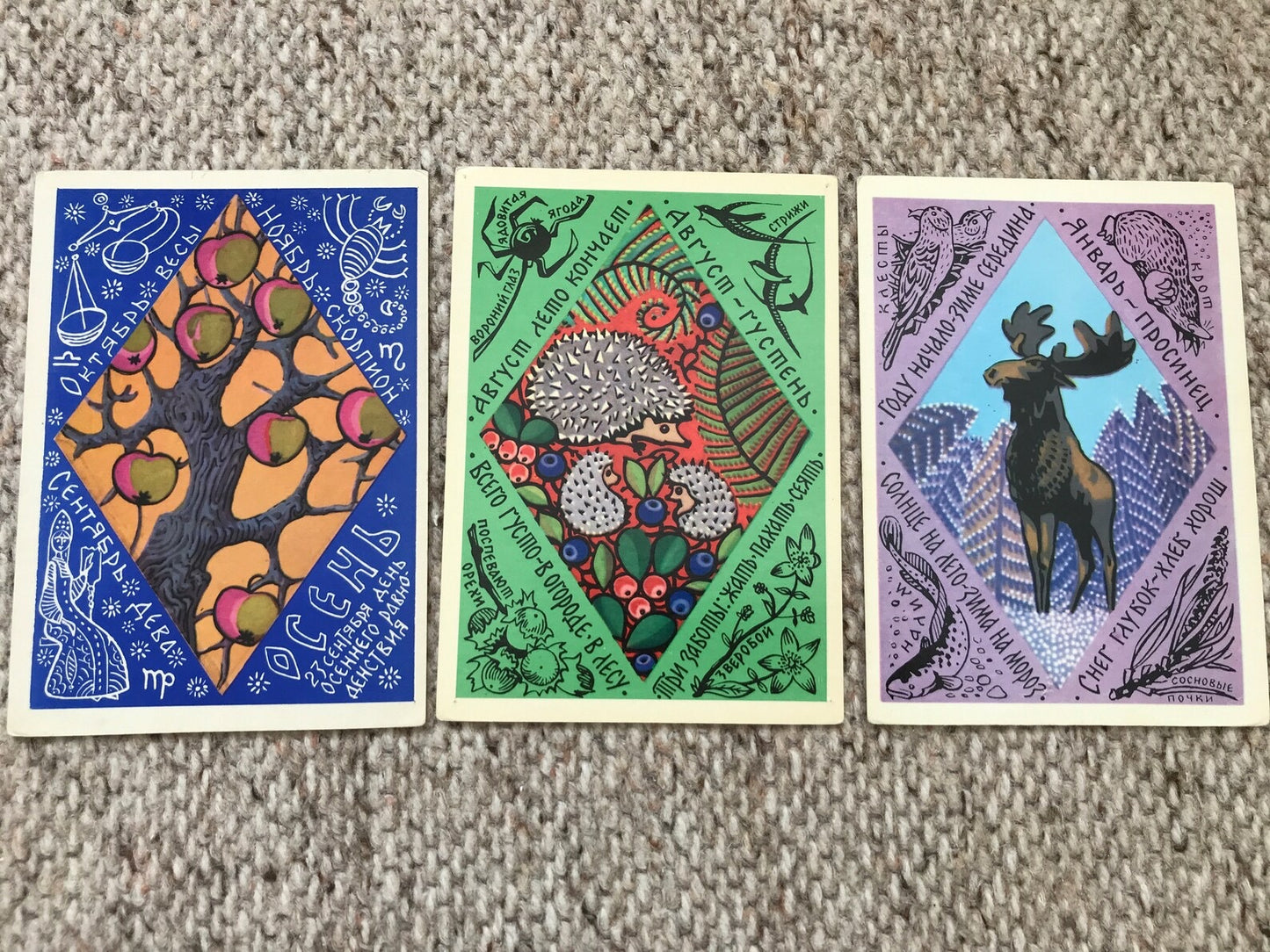 Set of 15 Vintage USSR collectible cards - Biology Cards - "For the Young Naturalist" - 1980s - unused