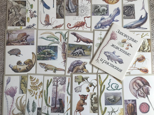 Set of 16 Vintage USSR collectible cards - "Protected animals and plants" - 1983 - unused