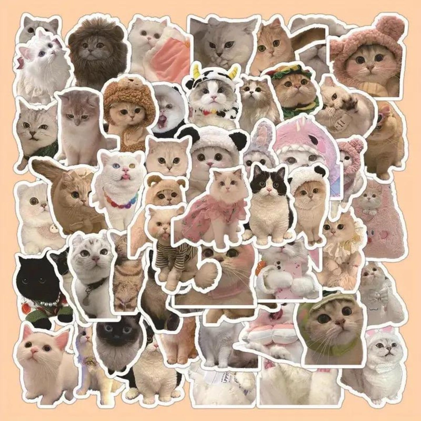 50 pcs Vintage Cat Stickers - Deco Paper Ephemera
