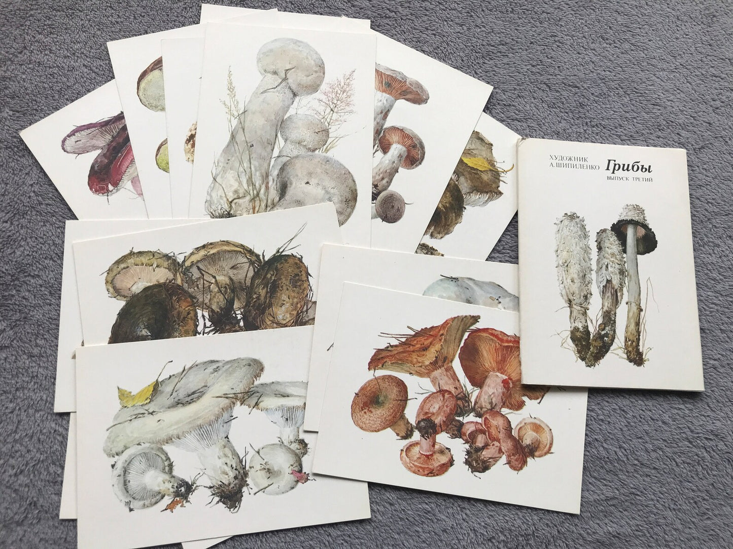 Set of 16 Vintage USSR collectible cards - Biology Cards - Mushrooms - 1984 - unused
