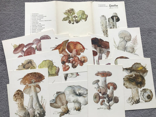 Set of 16 Vintage USSR collectible cards - Biology Cards - Mushrooms - 1984 - unused