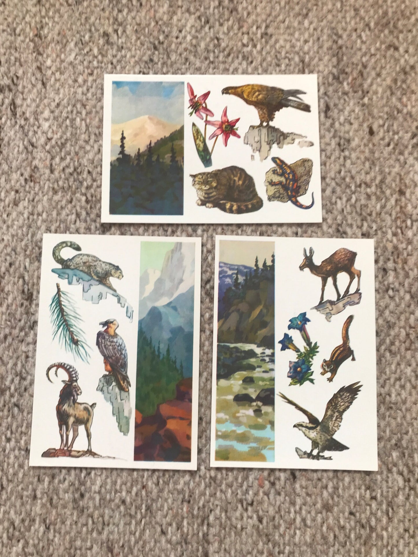 Set of 16 Vintage USSR collectible cards - "Protected areas of the USSR" - 1977 - unused