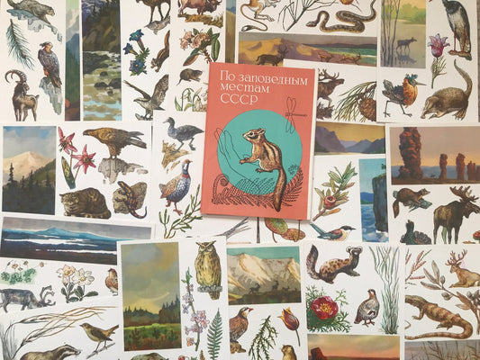 Set of 16 Vintage USSR collectible cards - "Protected areas of the USSR" - 1977 - unused