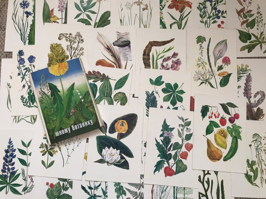 Set of 32 Vintage USSR collectible cards - Biology Cards - "For the Young Botanist" - 1980 - unused