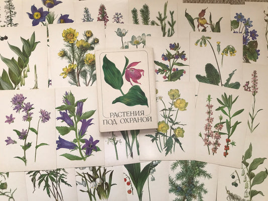 Set of 32 Vintage USSR collectible cards - Biology Cards - Plants Under Protection - 1986 - unused
